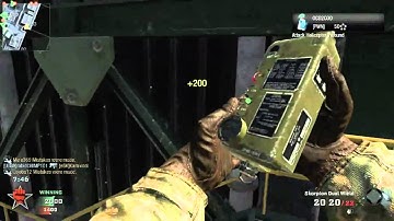 CoD: Black Ops - 28-0 Dual Wield Skorpion - Radiation TDM