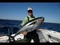 Wahoo Fishing Oil Rigs Off Venice Louisiana