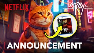 Stray (2027) – Animated Movie Breakdown & Everything We Know About this Video Game Adaptation
