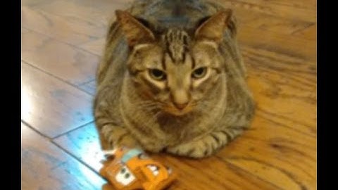 Introducing Ernie Cohen