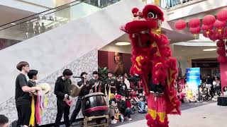 Happy new year 🧧with Lac Long Quân lion dance team at Tyson 🤗2/03/2024