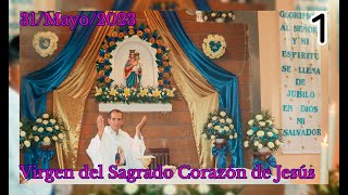 Fiesta Patronal Virgen Sagrado Corazón de Jesús desde La Calzada, Ciudad del Maíz, SLP, 31/Mayo/2023