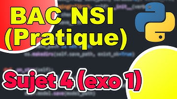 BAC NSI Sujet 4 Exercice 1 Corrigé - Recherche d