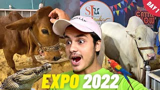 DALFA CATTLE SHOW 2022 | EXPO CENTRE KARACHI | VLOG