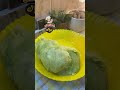 ماحسش بقيمتها الا اما تعبت وغابت عن عنية تعالوا نسمع حكاية جديدة واحنا بنجهز اكلاتنا يستاهل بؤك
