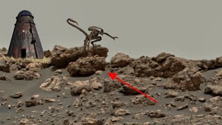 Mars Perseverance Sent New Mars 4k Video Footage || NASA Live Mars in 4k Sol 216 images