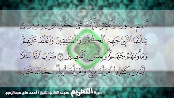 سورة التحريم 066 | القارئ الشيخ أحمد علي عبدالرحيم