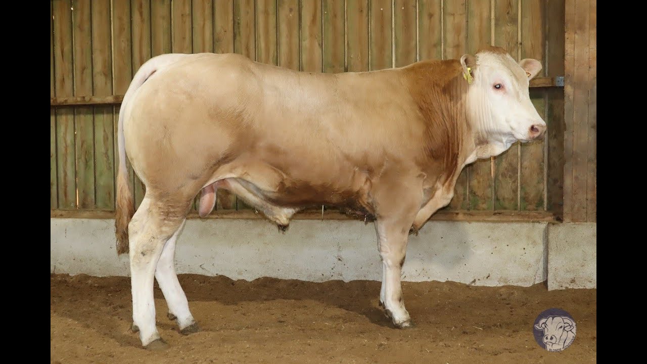 SR152 -  TETHIS -  DIF