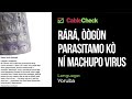 FACT CHECK AUDIO: No, paracetamol pills do not contain Machupo virus (Yoruba)