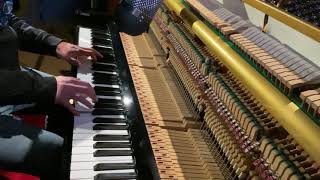 Patrick Hamilton - Serendipity Live Version