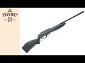 Пневматическая винтовка Gamo Black Cat 1400 (прицел 4x32, 3 Дж)