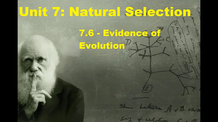 AP Biology - Unit 7 - 7.6 - Evidence for Evolution