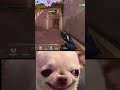 Funny Valorant Moments || Valorant Gameplay || #valorant #valorantclips #funnygameplay