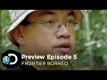 Preview: Lawa’s Release | Frontier Borneo S01E05