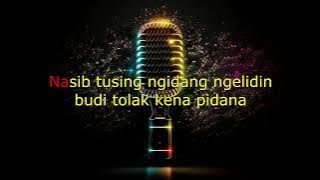 TEKOR BUBUH _WIDI WIDIANA _KARAOKE🎤