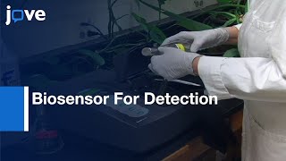 Biosensor For Detection Of Antibiotic Resistant Staphylococcus Bacteria l Protocol Preview