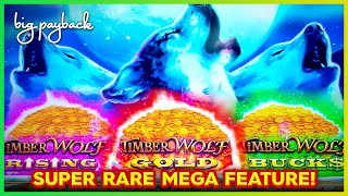All 3 Pots → RARE MEGA FEATURE! Timber Wolf Triple Power Slots - HOT NEW GAME! screenshot 5