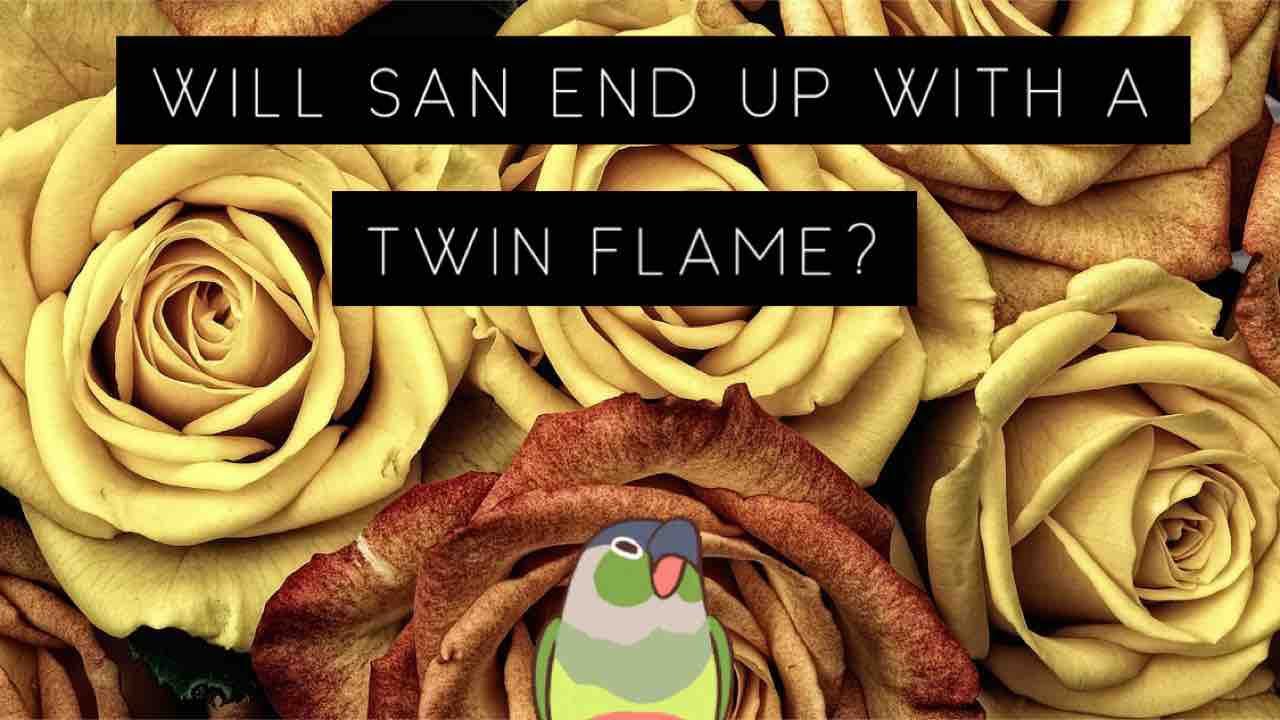 Kpop tarot reading :: Will San end up with a twin flame?