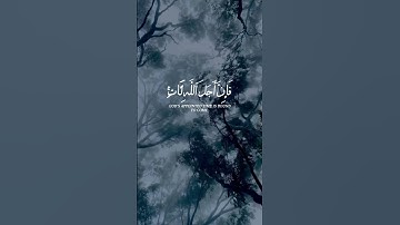 #قرآن #تلاوات #Quran #احمد_النفيس