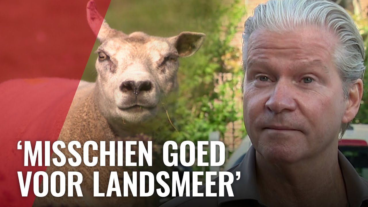 Dries Roelvink peilt stemming in Landsmeer over fusie