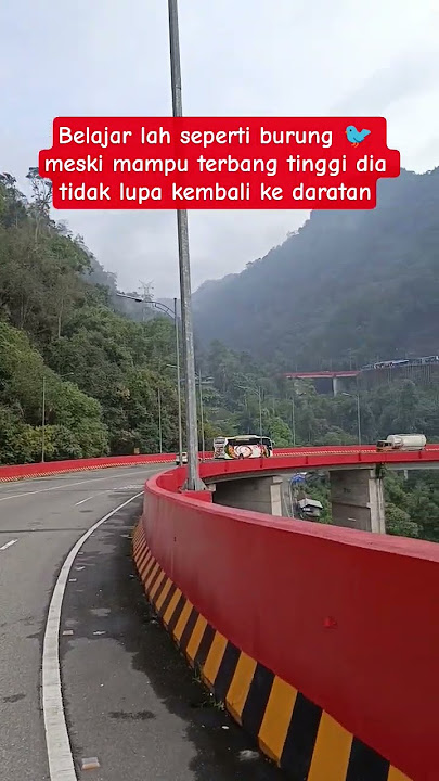 Belajar lah seperti burung 🐦 meski mampu terbang tinggi dia tidak akan lupa kembali ke daratan