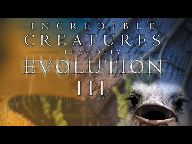 Incredible Creatures That Defy Evolution | Episode 03