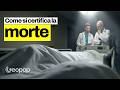 Come si certifica la morte? Morte cerebrale, cuore fermo o cuore battente. Facciamo chiarezza