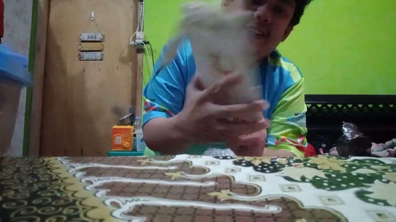 Unboxing Chard Wake Jam Tangan Wanita Tali Gelang Mutiara Korea Anti Air