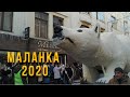 Маланка 2020 Черновцы лучшее