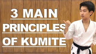 3 Principles of Kumite screenshot 4