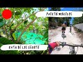 RUTA DE LOS CENOTES PUERTO MORELOS🔴Cenote Hacienda Sol y Luna | Moyita Explorando