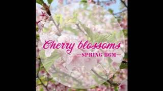Cherry blossoms【YouTube Music】Spring / Japanese style - instrumental BGM - | NFT Blockchain