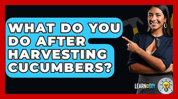 What Do You Do After Harvesting Cucumbers? - LearnToDIY360.com
