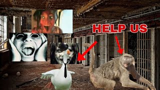 These horror maps are scarier than ACTUAL HORROR GAMES :((((( - Gmod Horror Funny Moments 1