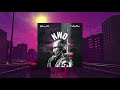 William Cata Feat. 21 StayDown - NWO