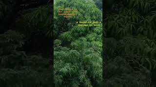 @viralvibes-d2g @viralhog @BabyViralClips640 @YOLOAVENTURAS ​@discoveryplusIndia