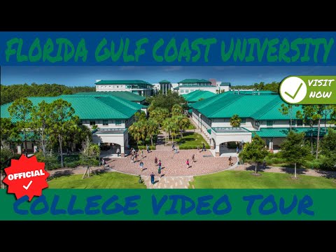 Florida Gulf Coast University Video Rankings Stats It S Nacho