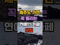 제주도 가면 꼭 들리는 연예인 카페 맛집