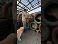 Turning Old Tires Into an Amazing Pet Lounge 🛞🐾 | Backyard DIY Transformation