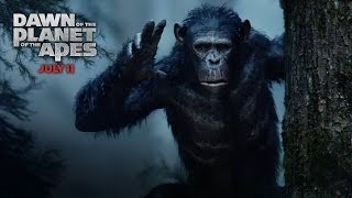 A decade has passed since apes and man have come face-to-face. now the
two societies face difficult choice between working together to
co-exist or battle t...