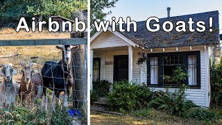 Quaint Airbnb on Vashon Island with modern upgrades!