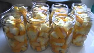 PRESSURE CANNING SQUASH!