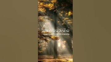 استغفر الله العظيم واتوب اليه. القارئ #عبدالعزيز_جمعة، سورة النمل. #القرآن #القرآن_الكريم #quran