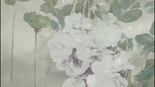 A Thousand Times Good Night ● Abel Korzeniowski