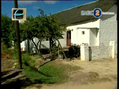 Video: Besoek die Carlsbad-blommevelde