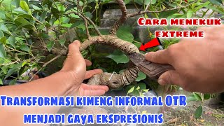 Video Pembelajaran Lomba Guru Prestasi 2019 Pemanfaatan Limbah Sisik Ikan dan Akar Kayu