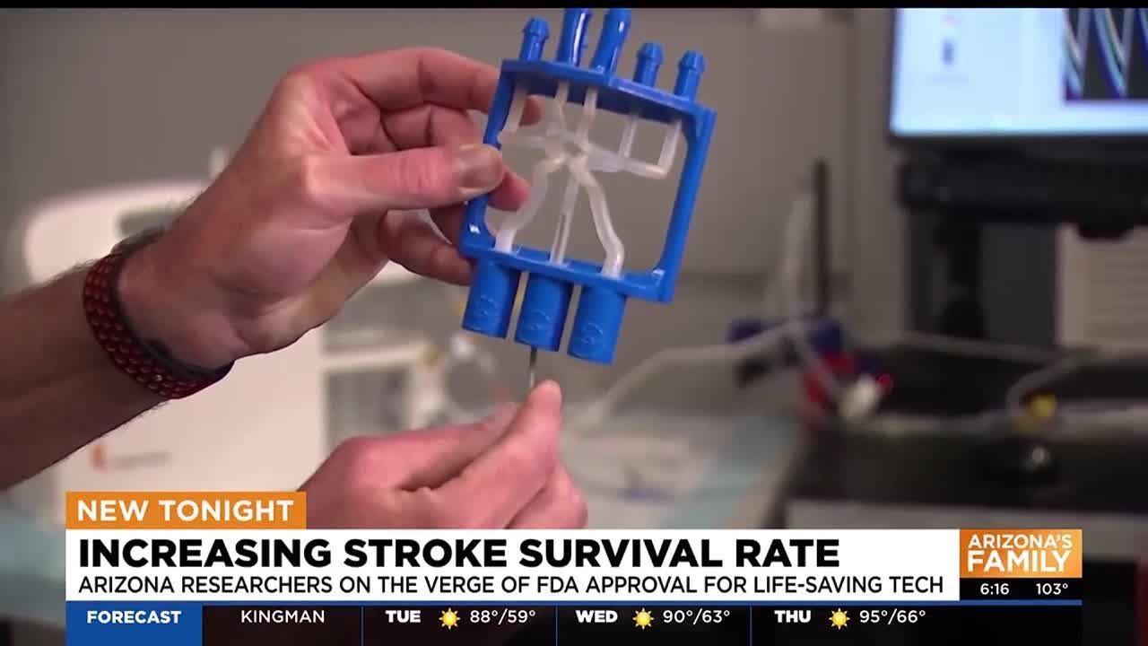 Northern arizona university researchers aiming to increase stroke