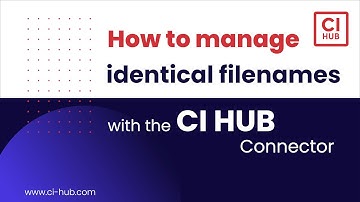 How to manage assets with identical file names