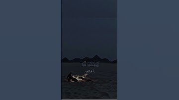 {قد افلح المؤمنون} القارئ: محمد اللحيدان