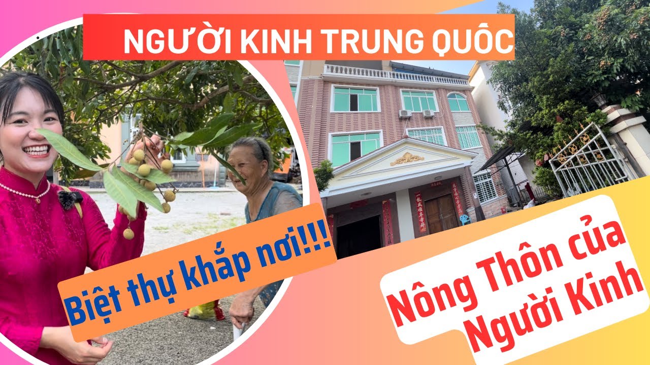 Vì sao dân tộc Kinh GiÀU NHẤT Trung Quốc, người dân Sống Bằng Nghề Gì? 中国京族村到处是别墅
